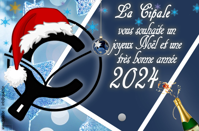 Joyeux noel et bonne année 2024 - Vidéo Dailymotion